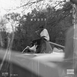 WYDTF MDuke