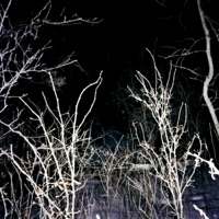 S1DE EFFECTS M4Y 1NCLUDE - 綺jakelaurent