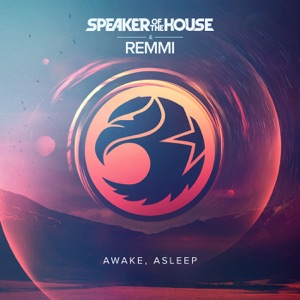 Awake Asleep (feat. REMMI) - Single
