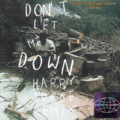 DONT LET ME DOWN (feat. DANTE GOOD BOY) [HARRY BUGGE REMIX] - Single