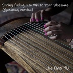 Spring Fading into White Pear Blossoms (Guzheng Version)