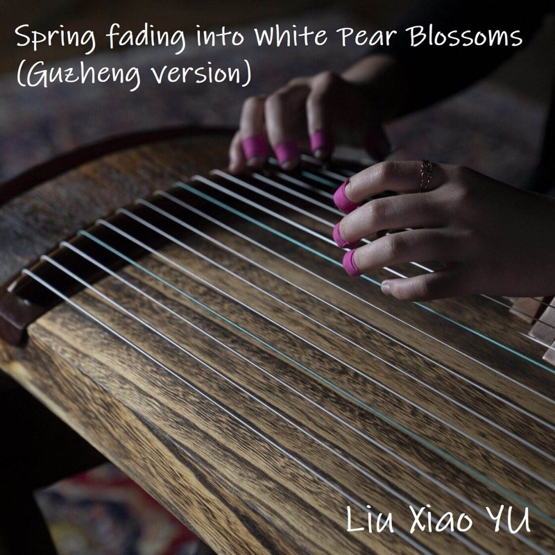 Spring Fading into White Pear Blossoms (Guzheng Version)