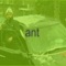 ant - Bill Gateshead lyrics