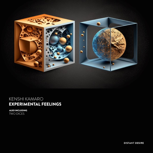 Experimental Feelings - Single