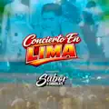 Borrame De Tu Memoria  CONCIERTO LIMA