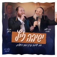 ישיבה זיץ (feat. הרב שלמה טויסיג) - Single - עקיבא גרומן
