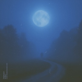 moonlight (slowed + reverb) Alvin C