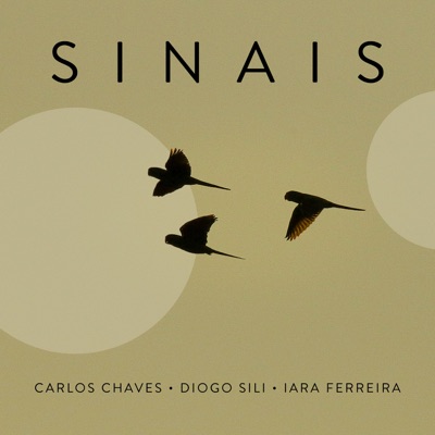 Sinais - Single