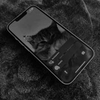 проснись милая - Single - был(а)давно & morphy