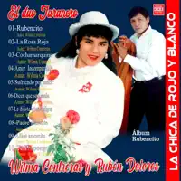 Amor incomparable — Wilma Contreras
