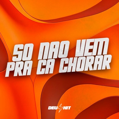 Só Não Vem pra Ca Chorar - Single