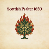 Scottish Psalter 1650 (Versão Cover)
