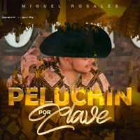 Peluchin Por Clave - Single - Miguel Rosales