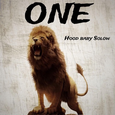 HoodBaby Solow- what they on - Single