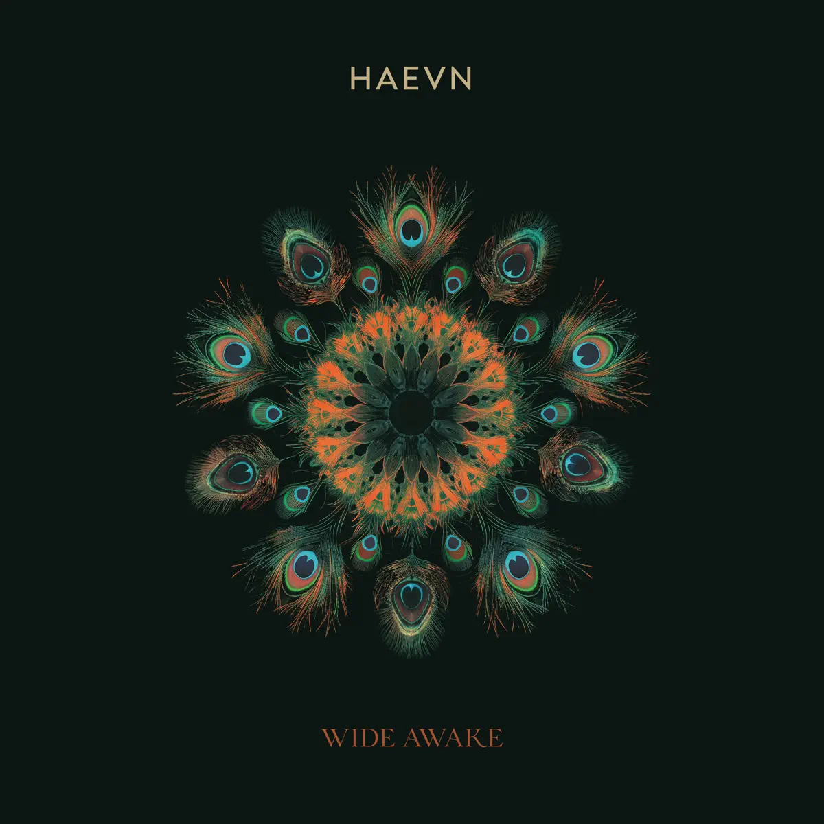 HAEVN - Wide Awake (Extended) (2024) [iTunes Plus AAC M4A]-新房子