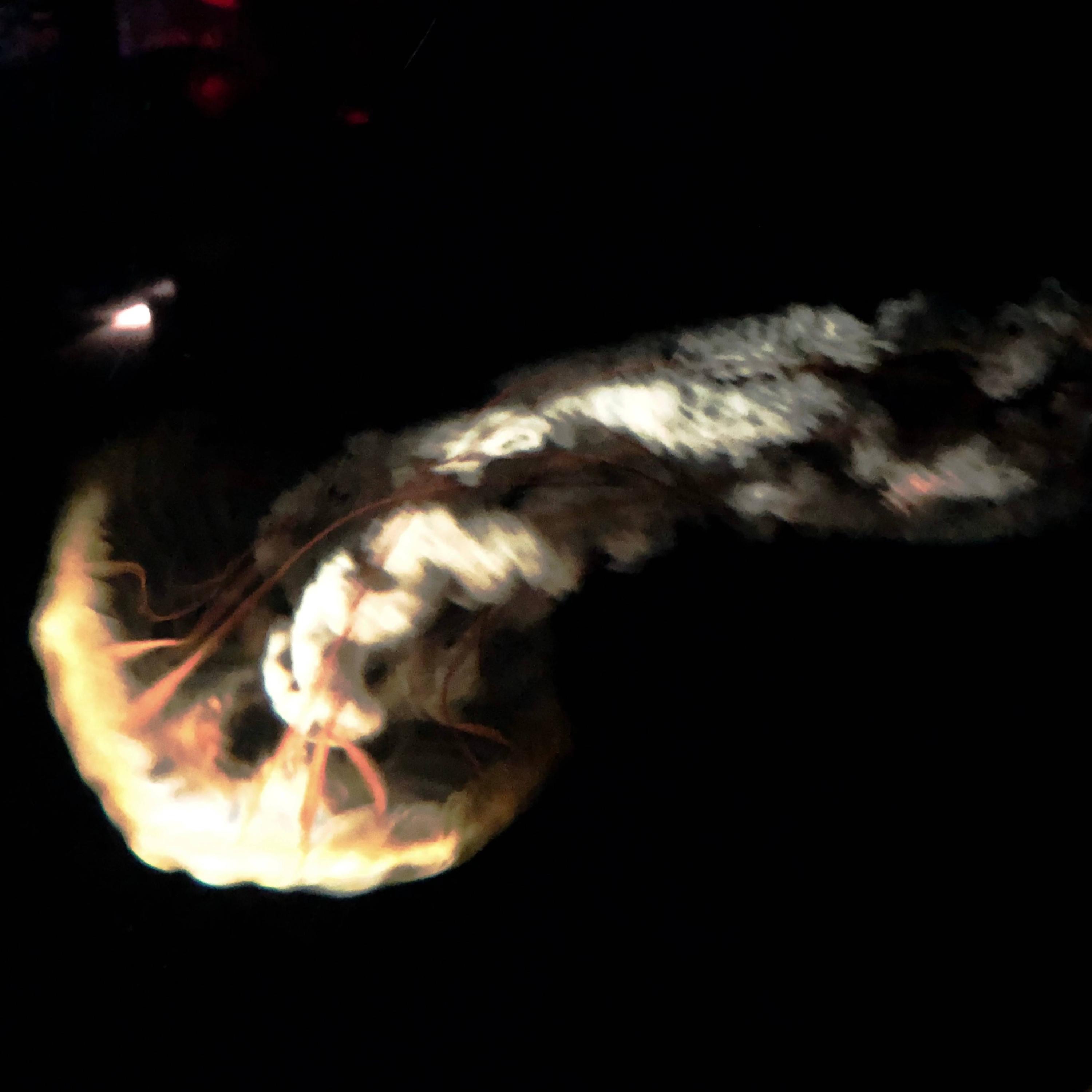 Turn Around - Single