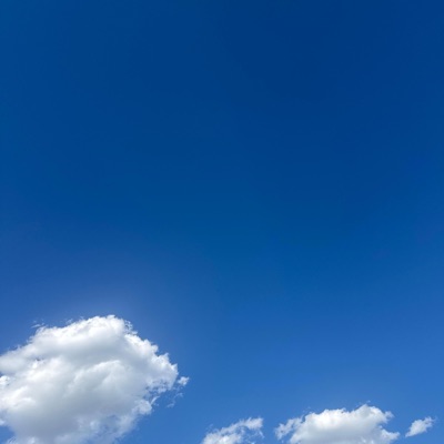 She's The One - Single