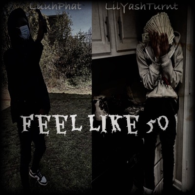 Feel Like 50 (feat. lilyashturnt) - Single
