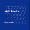 Georges Méliès Georges Melies's Moon Night Jasmine (2013 Remaster)