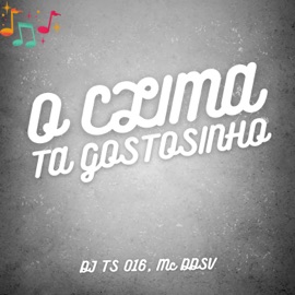 O Clima Tá Gostosinho Mc DDSV & DJ TS 016