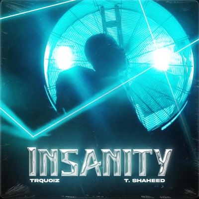 Insanity (feat. T. Shaheed) - Single