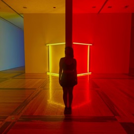 Devil In the Mask Brae & Raye Zaragoza