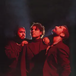 Amargura album cover