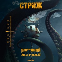 Бортовой журнал - Strizh