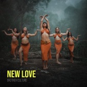 New Love (Extended) artwork