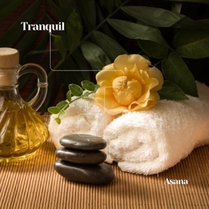 Tranquil Asana: Ambient Spa Sounds