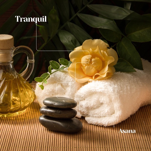 Tranquil Asana: Ambient Spa Sounds