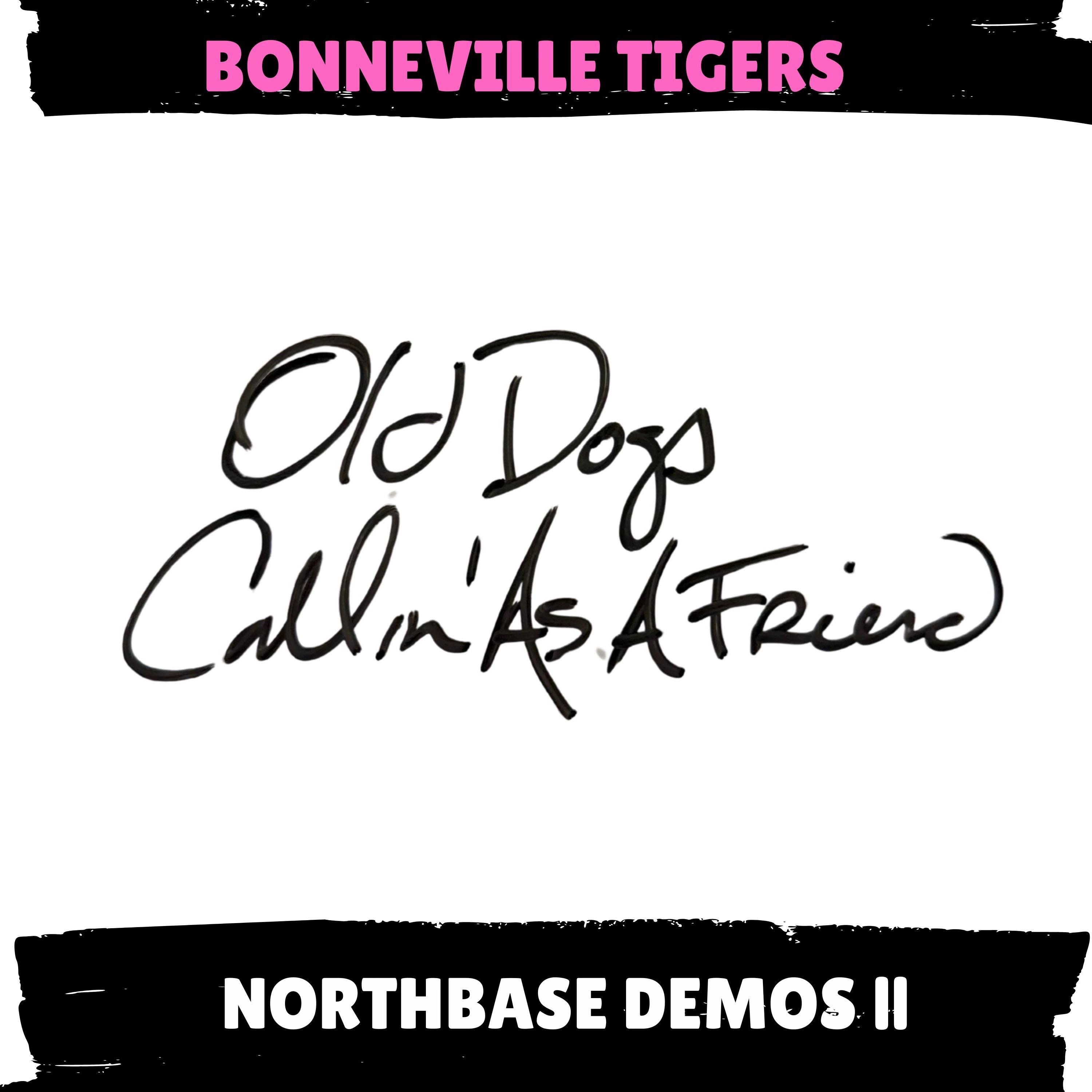 NORTHBASE demos II - Single