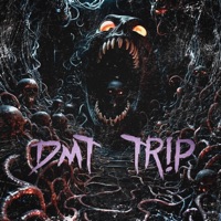 Dmt Tr!P - Single - Knewse & MILITXNT