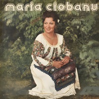 Cand vad floarea de cicoare