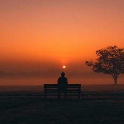 It will pass - Single