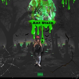 Stainerrr/Vol. 1 Ant Stain