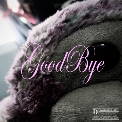 GoodBye - Single