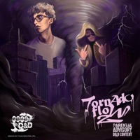 TORNADO FLOW 2 - DE PLUG