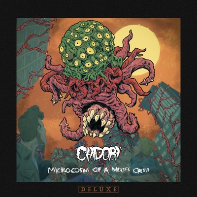 Microcosm Of A Midlife Crisis (Deluxe)