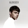 Снов осколки