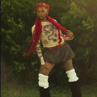 DRAGONS CAMP. - Single