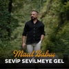 Sevip Sevilmeye Gel