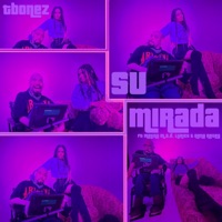Su Mirada (feat. Melina M.A.D. Lyrics & Nena Rosey) - Single - Tbonez
