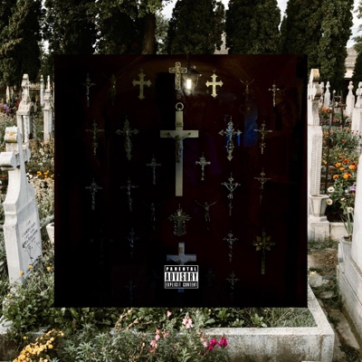 Divine Light (John 14:8) - Single