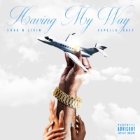 Having My Way (feat. Capella Grey) - Single - ShaqnLivin