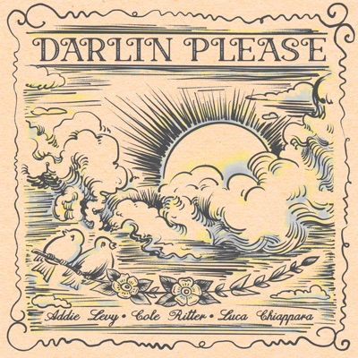 Darlin Please (feat. Luca Chiappara & Cole Ritter) - Single