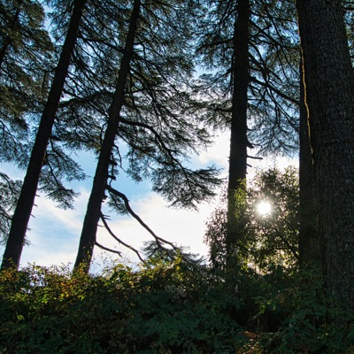 Deep Sleep Music - Dawn's Embrace