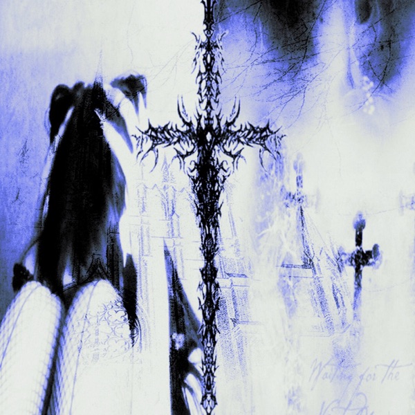 can't take it anymore - Single
