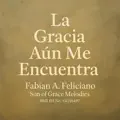 La Gracia aun me encuentra