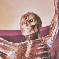 Come Along Children - Single - Donnie Six